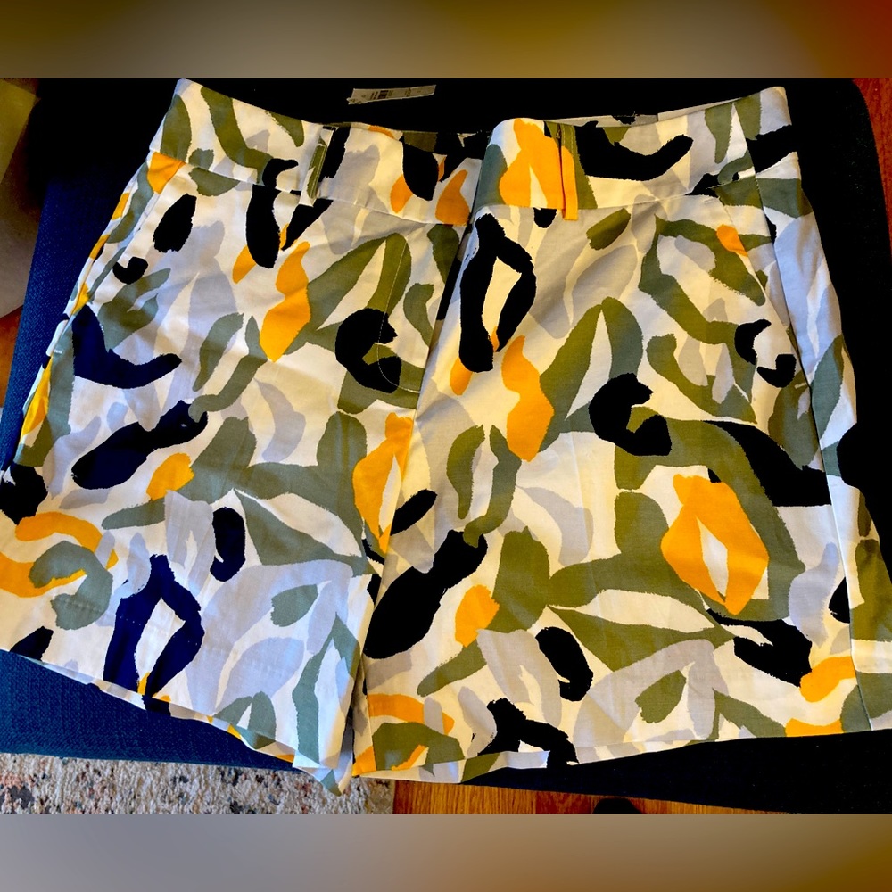 Ann Taylor 6 inch Short. Fun pattern!